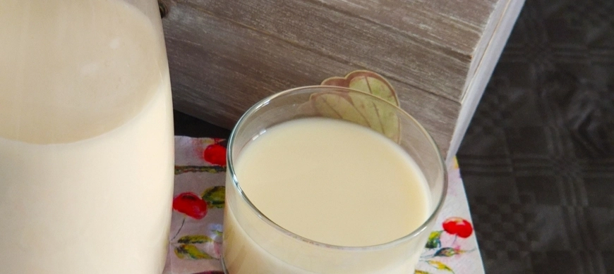 BEBIDA DE ALPISTE ( sin gluten y sin lactosa)