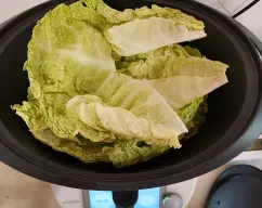 Step <p><span style="font-weight: normal;">ponga en el vaso 700 g de agua. Coloque el Varoma en su posición y </span>cocine al vapor 10 minutos / varoma / velocidad 2.</p><p><span style="font-weight: normal;">Las hojas deben quedar cocidas para poder doblarlas, pero no l suficientemente blandas para que se rompan.</span></p> illustration