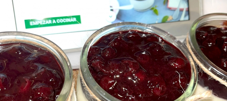 Pannacota con arándanos