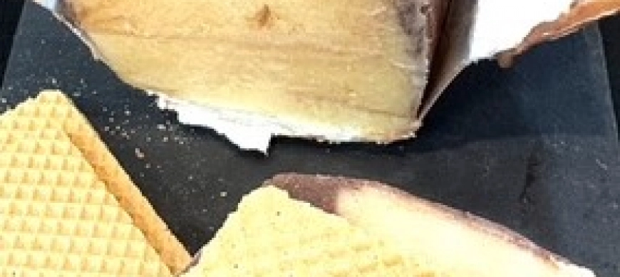 HELADO DE CORTE: VAINILLA Y CHOCOLATE