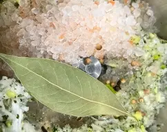 Step <p>Añada la sal, el vino blanco, la hoja de laurel, el clavo, las semillas de cilantro y el pollo picado reservado. Ponga el cestillo sobre la tapa en lugar del cubilete para evitar salpicaduras y programe 25 min/Varoma/vel 2. La mezcla espesará y se secará bastante.Añada la sal, el vino blanco, la hoja de laurel, el clavo, las semillas de cilantro y el pollo picado reservado. Ponga el cestillo sobre la tapa en lugar del cubilete para evitar salpicaduras y programe 25 min/Varoma/vel 2. La mezcla espesará y se secará bastante.</p> illustration