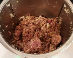 Step <p><span style="font-weight: normal;">Añade 500 g de carne picada, 1 huevo y una </span><span style="font-weight: 400;">cucharada</span><span style="font-weight: normal;"> de salsa de soja o tamari.</span></p><p>Mezcla 5 segundos / giro inverso / velocidad 3</p> illustration