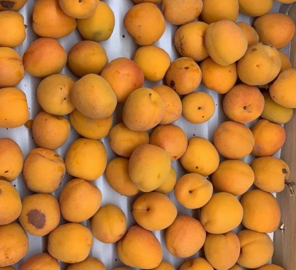 Mermeladas